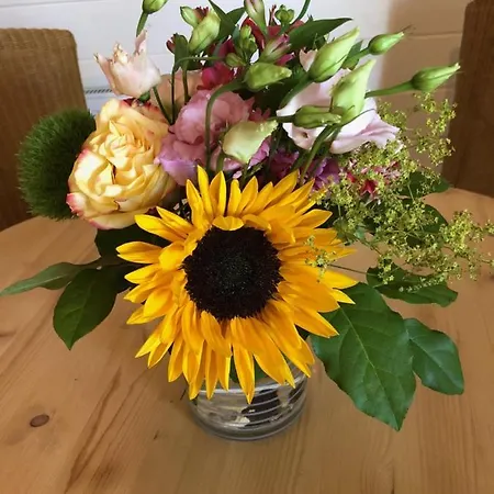 Zevenhuizen Bed & Breakfast *