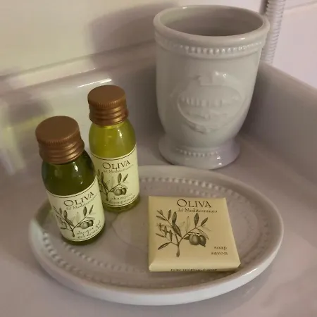 Zevenhuizen לינה וארוחת בוקר 4*