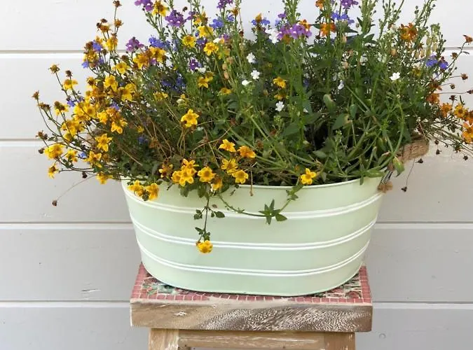 Zevenhuizen 4* Zevenhuizen (Zuidplas)