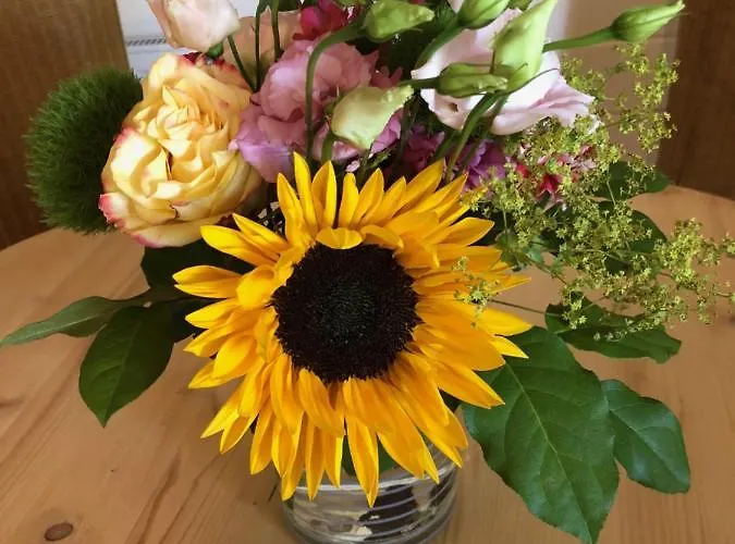 Zevenhuizen Bed and breakfast 4*